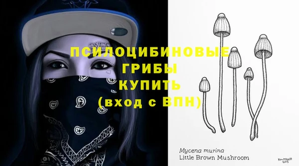 ECSTASY Абаза