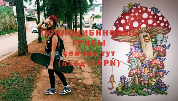 mdpv Пролетарск